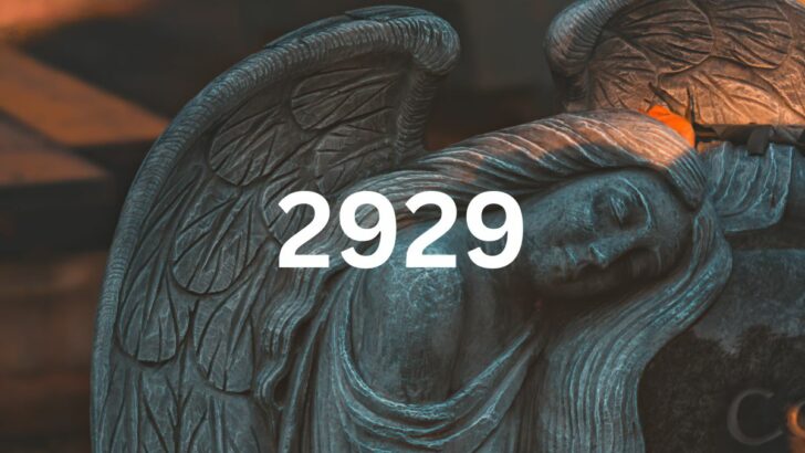 2929 Angel Number Meaning & Symbolism