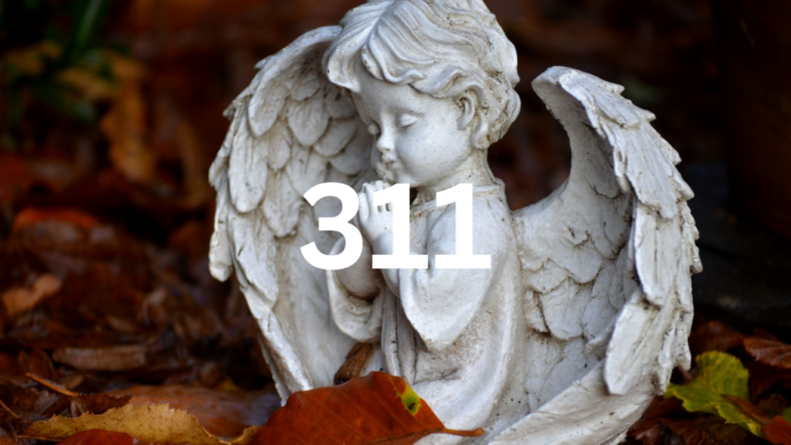 311 Angel Number Meaning & Symbolism