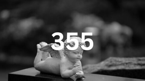 355 Angel Number Meaning & Symbolism